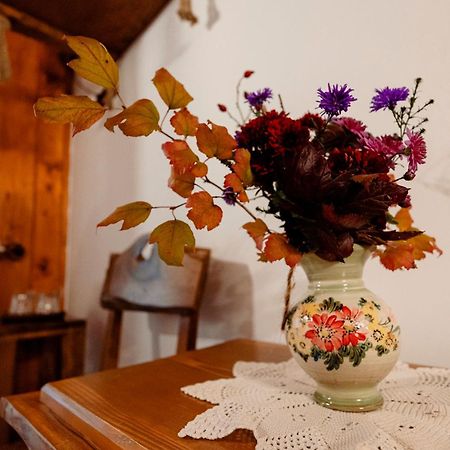 Pensiunea Doina Vadu Izei Extérieur photo