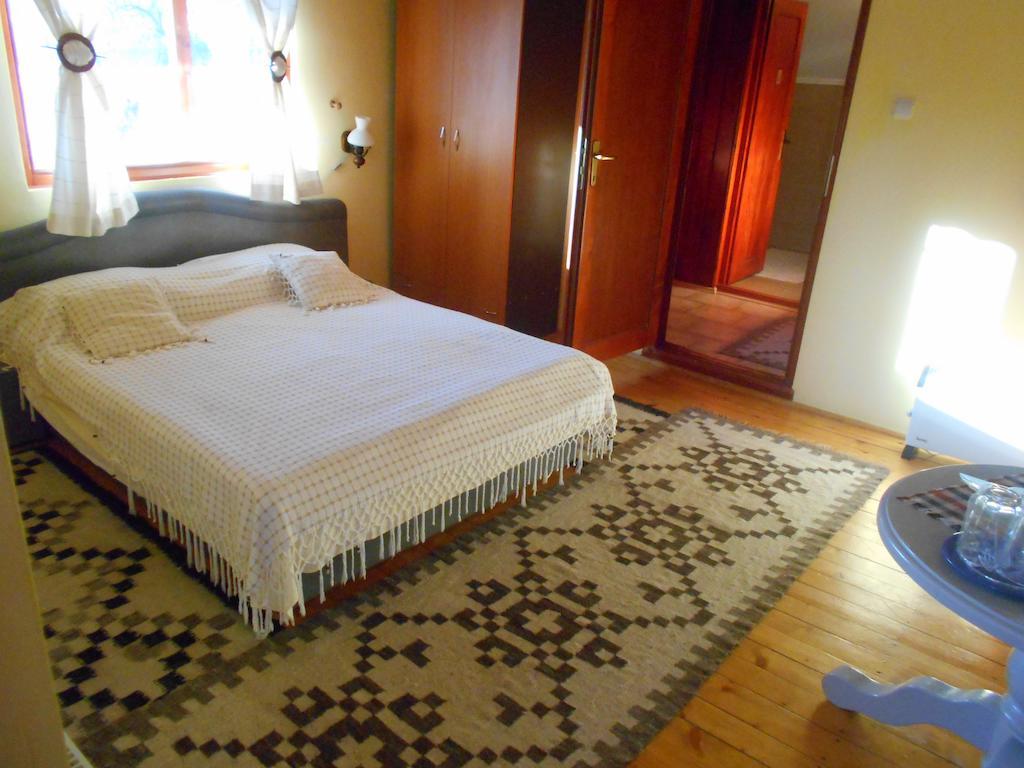 Pensiunea Doina Vadu Izei Chambre photo