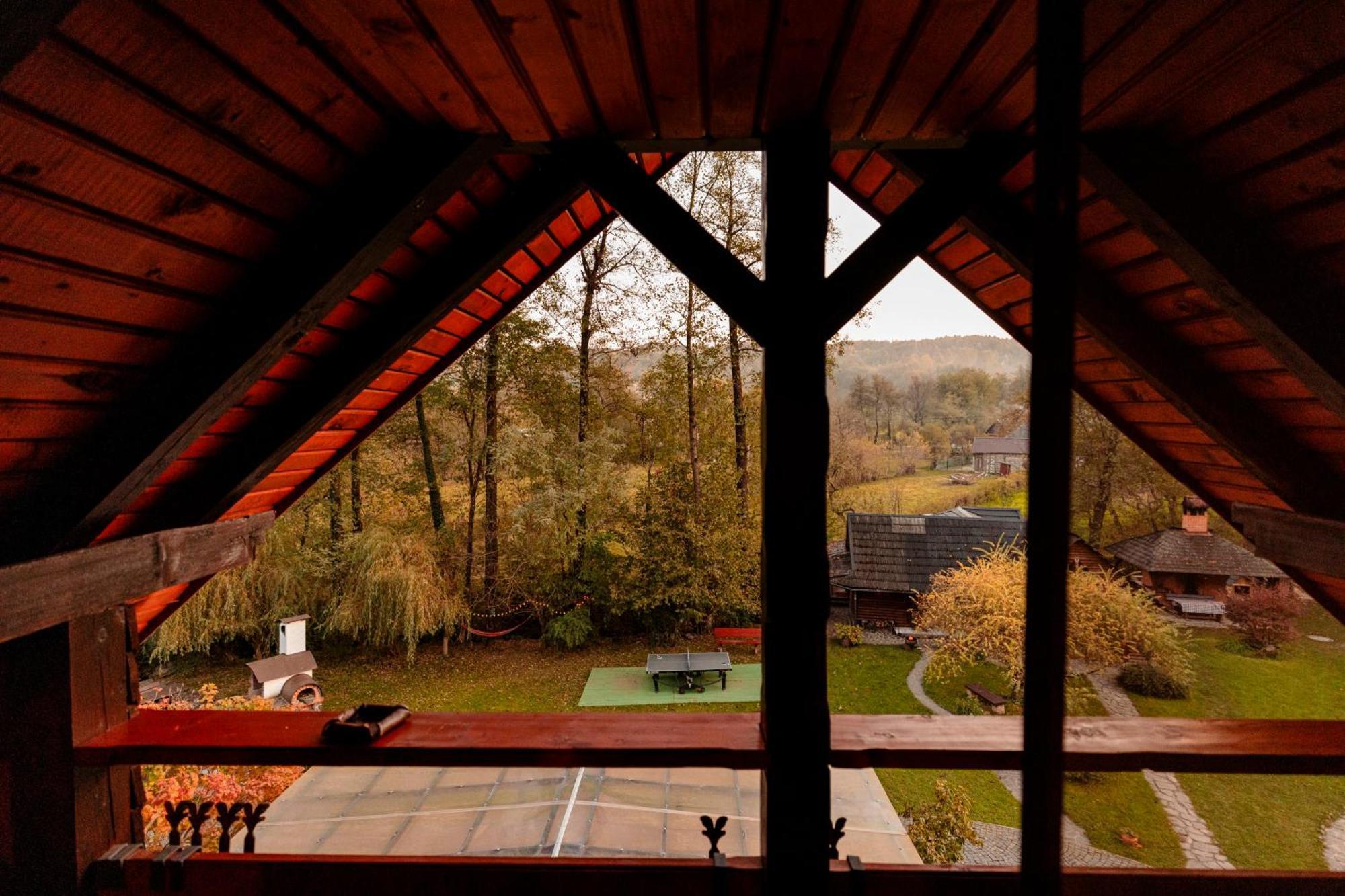 Pensiunea Doina Vadu Izei Extérieur photo