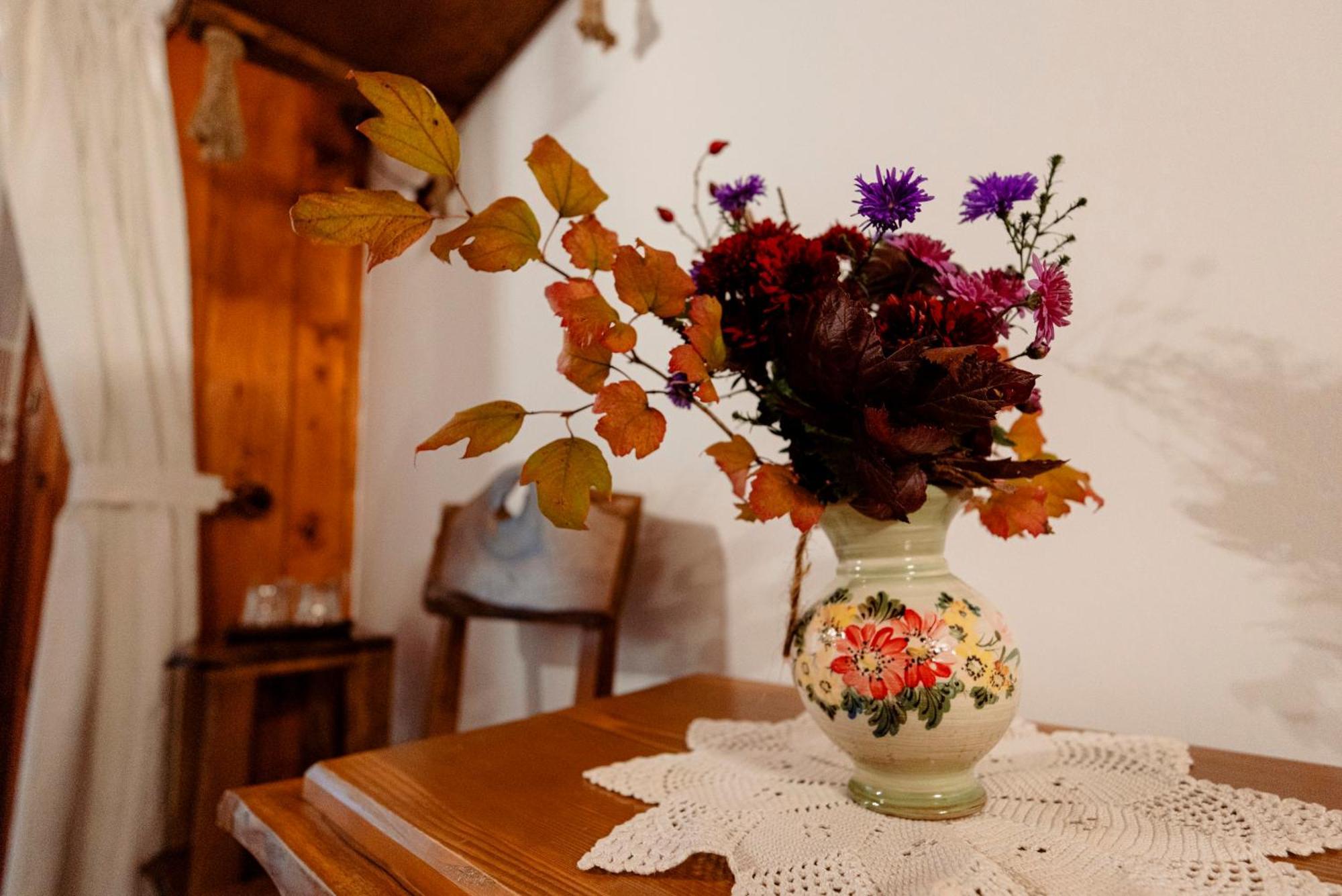 Pensiunea Doina Vadu Izei Extérieur photo